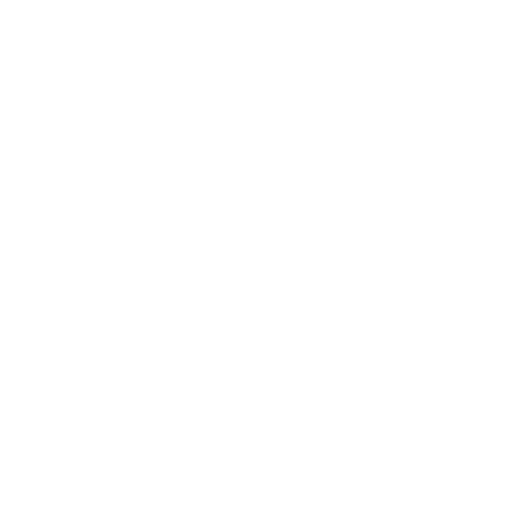Fallo Academy